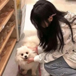 王宝强代言血月之息下载